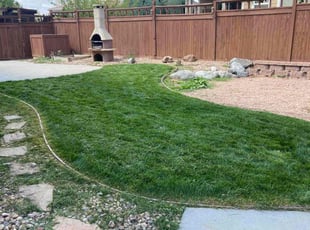 Gilberto A.'s Lawn Mowing Service service result