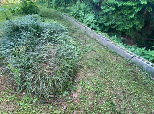 Bush Trimming by James Cooper for Tom A. in Birmingham, AL