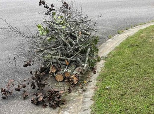 Cleanups by Stephen Mathis for David M. in Columbia, SC