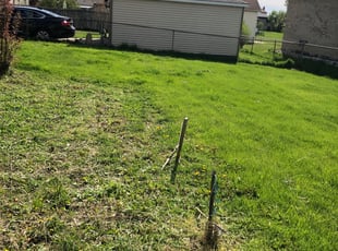 Cleanups by Dirk Allen for Esther C. in Sterling Heights, MI