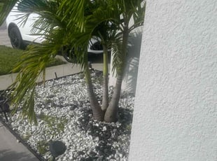 Weeding by Olga Diaz for Jose P. in Kissimmee, FL