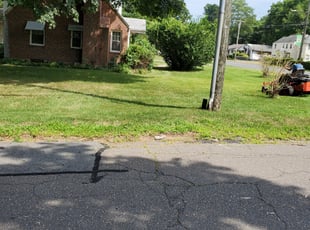 Bush Trimming by Tyrone May for Valerie L. in Bloomfield, CT