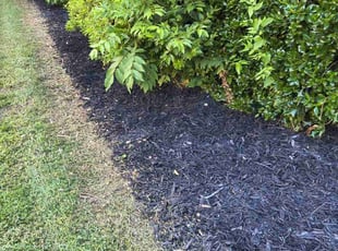 Mulching by Erica Smedley for Travis P. in Charlotte, NC