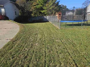 Lindsey W.'s Lawn Service service result