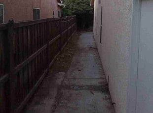 Leaf Removal by Chris Christensen for Samantha B. in Visalia, CA