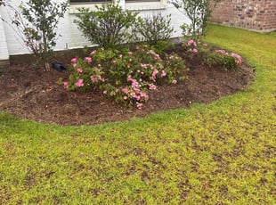 Weeding by Jurmoun Langford for Keirysha B. in Zachary, LA
