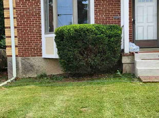 Bush Trimming by Kevin Philips for LaTasha W. in Cincinnati, OH
