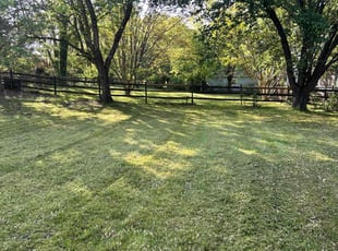 Ennis W.'s Yard Cutting service result