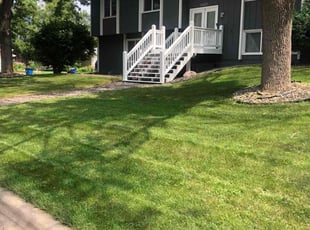 Weeding by James Stamps for Noel S. in Minneapolis, MN