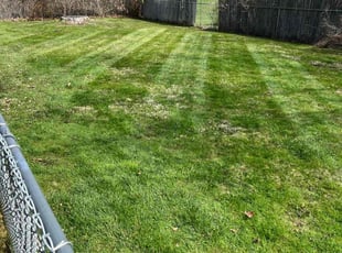 Nick H.'s Lawn Service service result