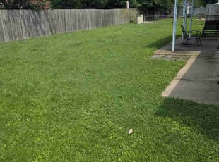 Gina C.'s Grass Cutting service result