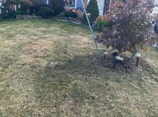Kirsten J.'s Lawn Maintenance service result