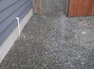 Weeding by Thomas Andersen for Pernell U. in Puyallup, WA