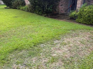 Bush Trimming by KG Lawn Care for Tim B. in Reserve, LA