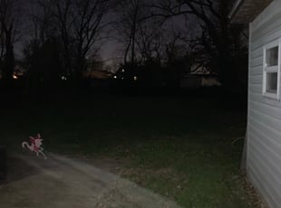 Leaf Removal by Duane Henderson for Desiree P. in District Heights, MD