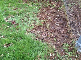 Leaf Removal by Kenneth Mercado for Karl E. in Cicero, NY