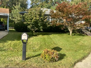 Kathleen M.'s Lawn Mowing Service service result