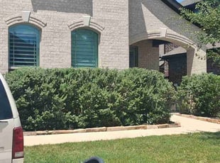 Bush Trimming by Marcedes Ginn for James F. in Anna, TX