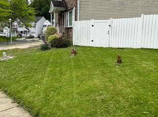 Etta P.'s Lawn Service service result