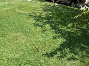Colby T.'s Lawn Service service result