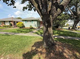 Bush Trimming by Akeem Lewis for Ronald A. in New Orleans, LA