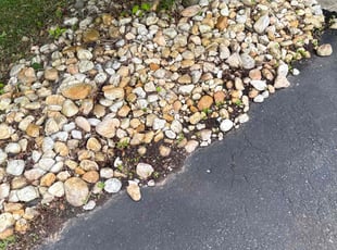 Weeding by Daniel DomΓnguez for Richard B. in Newtown, PA