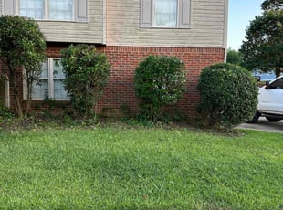 Bush Trimming by Tiffany Walker for Michael K. in Bessemer, AL