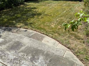 Cleanups by Joshua Travis for M B. in Belmont, MA