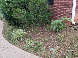 Bush Trimming by Tezmon Williams for Ang M. in Marietta, GA