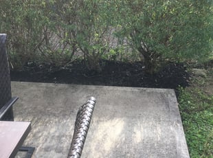 Cleanups by B.J. Schuetz for Rachael M. in Columbus, OH