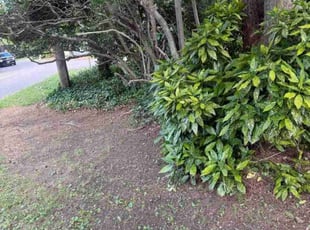 Bush Trimming by Robert Bethel for Jennifer S. in Virginia Beach, VA