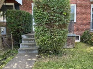 Bush Trimming by Fidel Rodriguez for Nia N. in Washington, DC