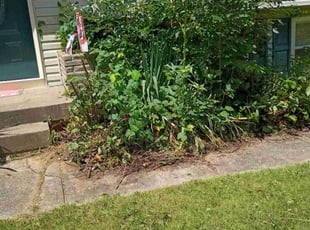 Cleanups by Reginald White for Doug B. in Kansas City, MO