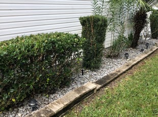 Cleanups by Emanuel Kadyebo for Dale G. in The Villages, FL
