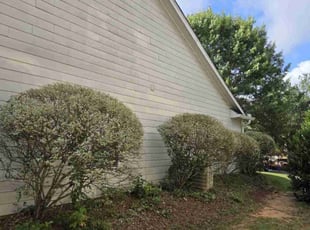 Bush Trimming by Rickey Mccoy for David D. in Auburn, GA