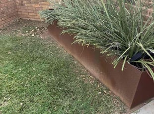 Bush Trimming by Zachary Saldana for Courtney A. in Lubbock, TX