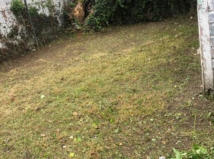 Cleanups by Adrian Moran for Gail L. in Queens, NY