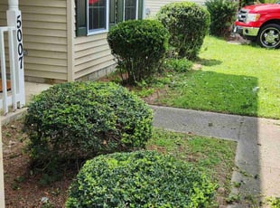 Bush Trimming by Anthony Beamon for Christine A. in Chesapeake, VA