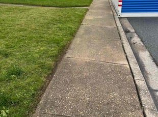 Alexa P.'s Yard Cutting service result
