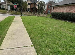 Stephen C.'s Lawn Maintenance service result