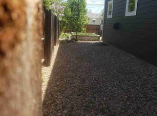Weeding by Angela Shinaut for Jack C. in Denver, CO