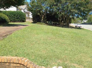 Jacob S.'s Lawn Care service result
