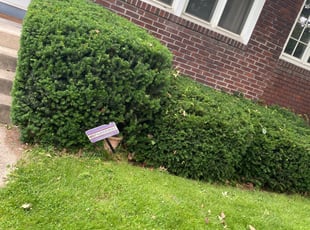 Bush Trimming by Shamaiia Watkins for Daqing H. in Pittsburgh, PA