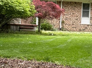 Tyrone G.'s Lawn Service service result