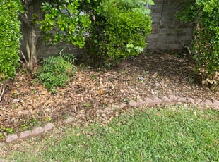 Weeding by Carlos Medina for Steven R. in Allen, TX