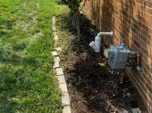 Weeding by Jack Brown for Neil R. in Oak Park, MI