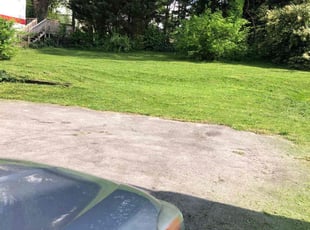 Kyle U.'s Grass Cutting service result