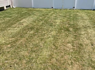 Bill J.'s Lawn Maintenance service result