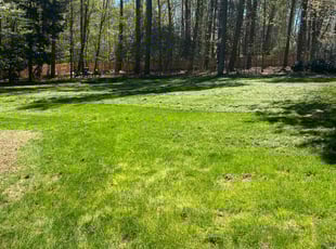 Jean S.'s Lawn Maintenance service result