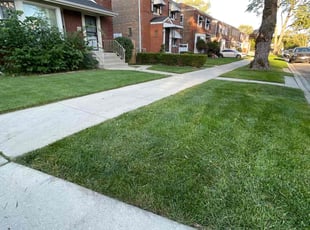 Diane G.'s Lawn Care service result